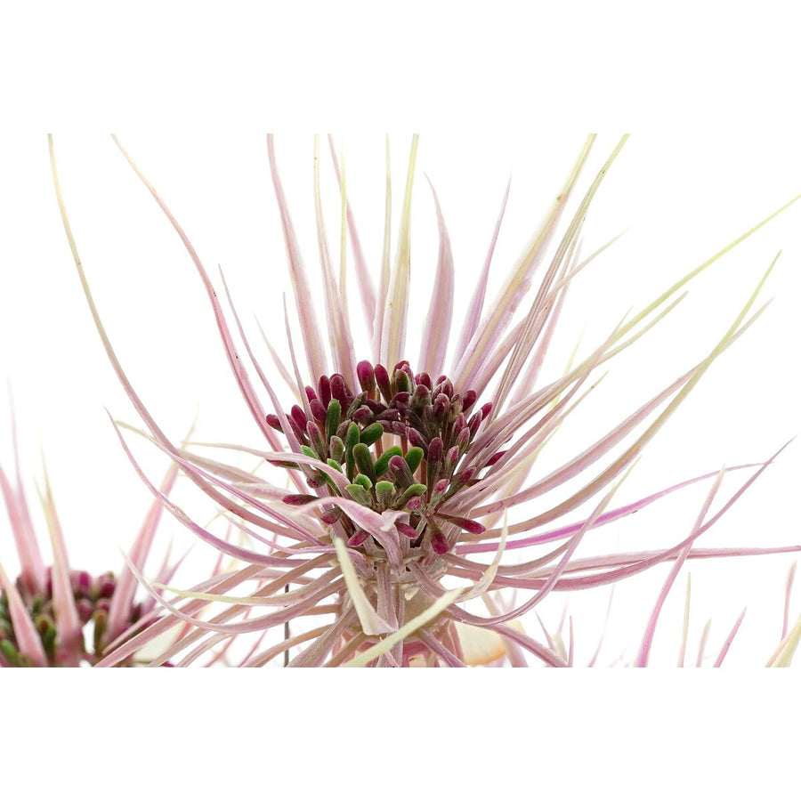 V8HC58BAC1E757A2F4074559EFBB14E0953R5661371P4