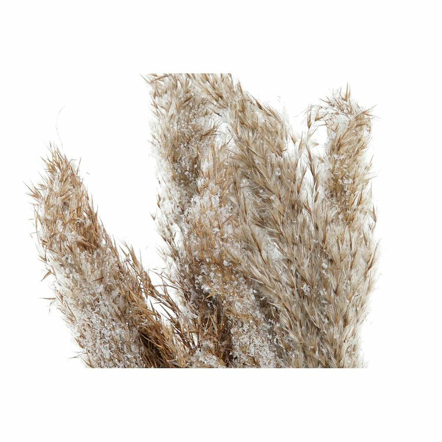 V7H425CECF05B8D5466FB5A1FA620A78788R5662013P2