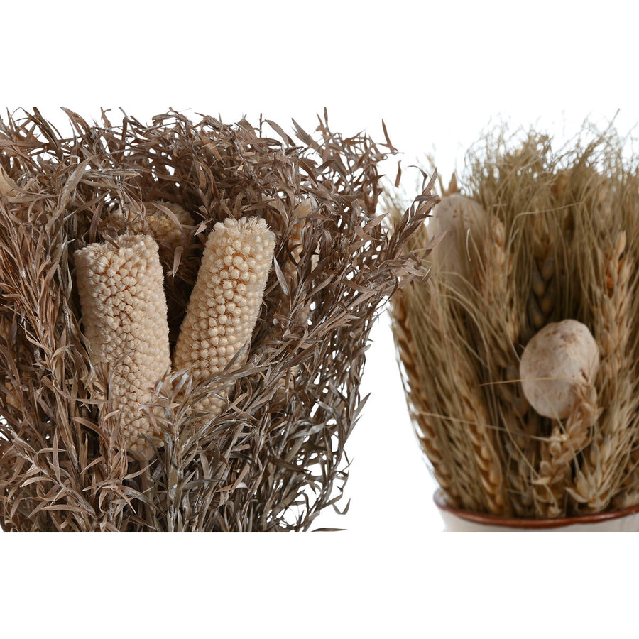 V3H93703987FC353E02A7453EC9E7DDCABFR4456797P2